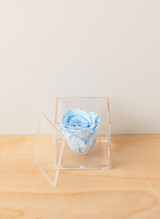 Everlasting Rose - Sky Blue